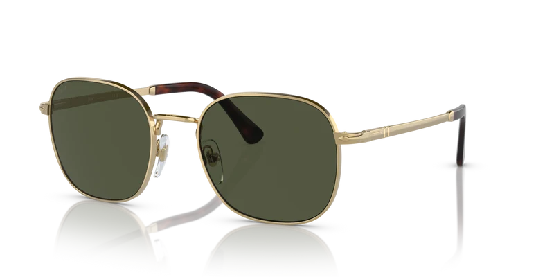 PO1009S