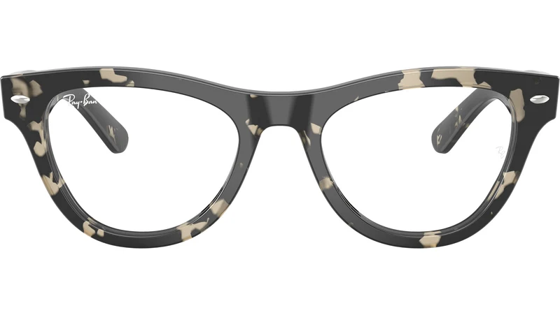 RB5510 Optics 8117