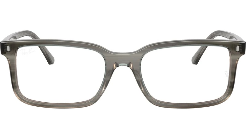RB5445 Optics 8453