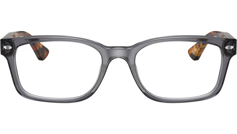RB5286 Optics 5629