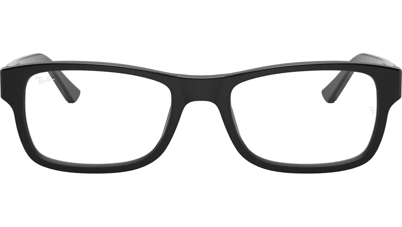 RB5268 Optics 5119