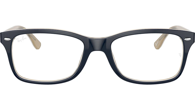 RB5228 Optics 8119