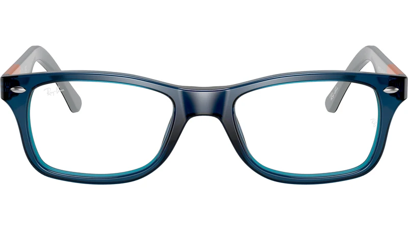 RB5228 Optics 5547