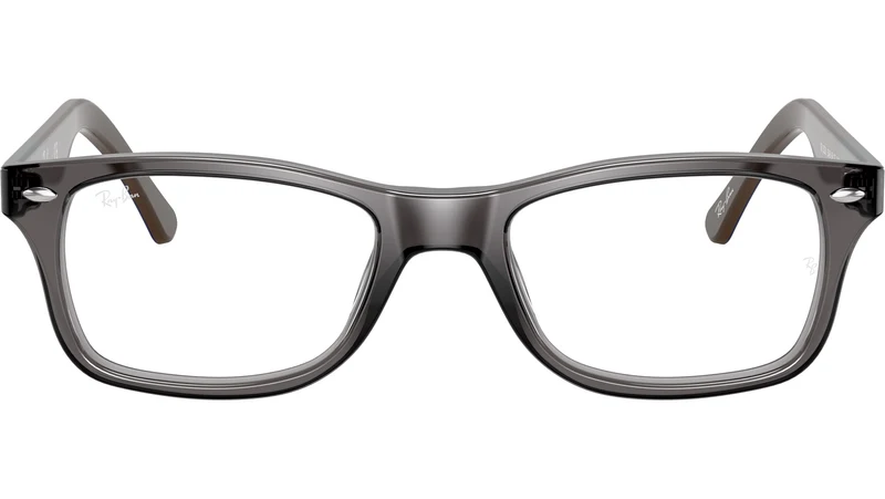 RB5228 Optics 5546