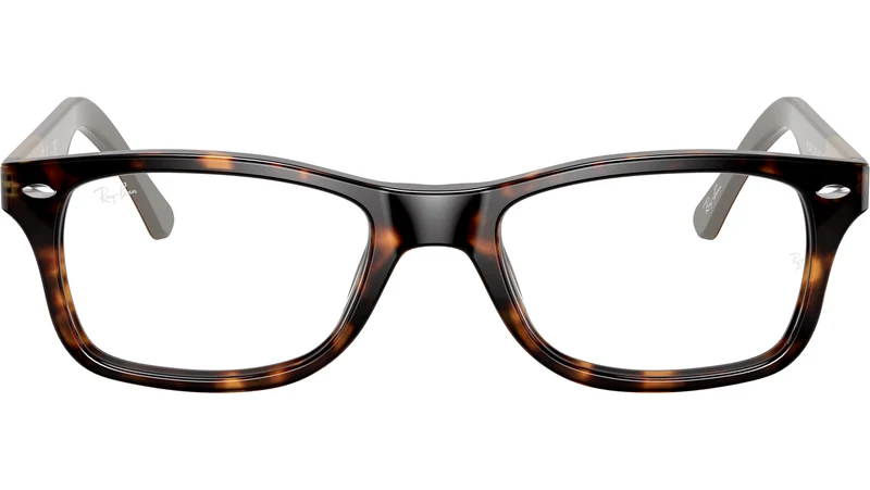 RB5228 Optics 5545