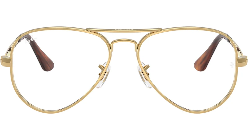 Aviator Max Optics RB3925V 2500