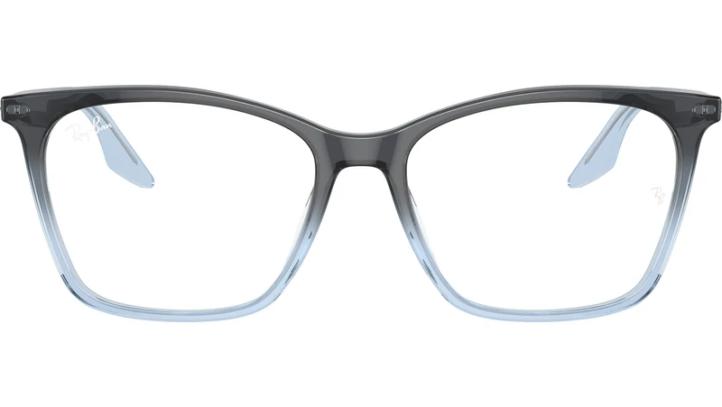 RB5422 Optics 8309
