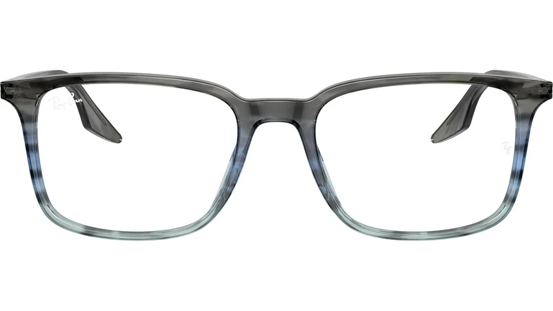 RB5421 Optics 8254