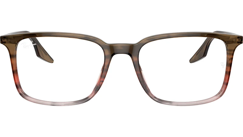 RB5421 Optics 8251