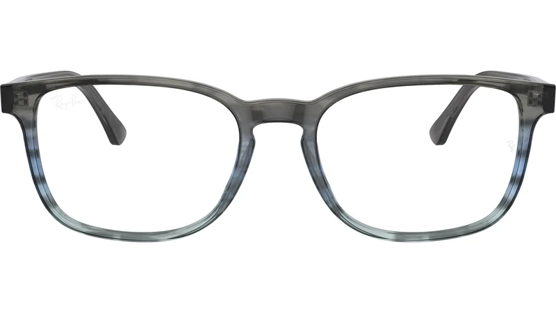RB5418 Optics 8254