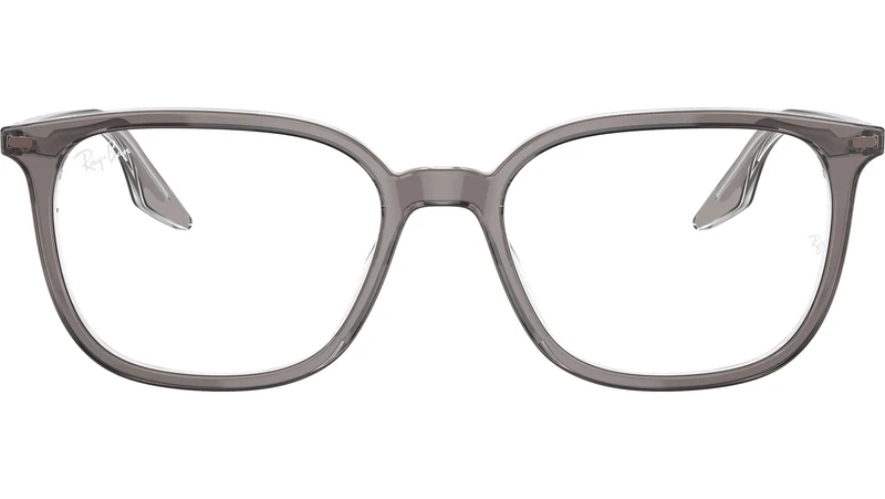 RB5406 Optics 8111