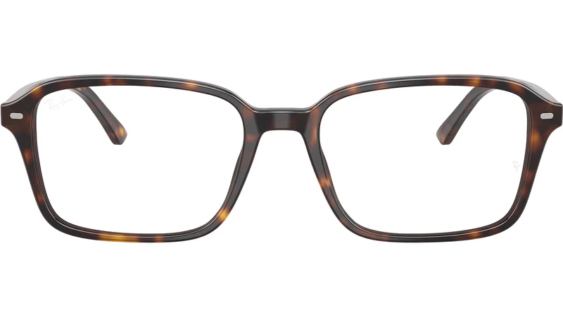 Raimond Optics RB5431 2012