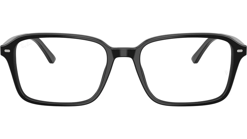 Raimond Optics RB5431 2000