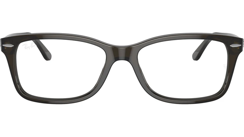 RB5428 Optics 8299