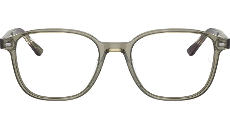 Leonard Optics RB5393 8178