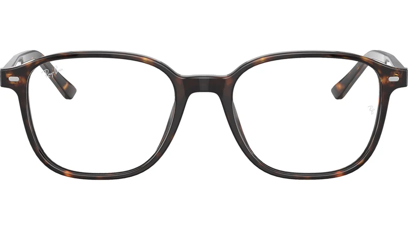 Leonard Optics RB5393 2012