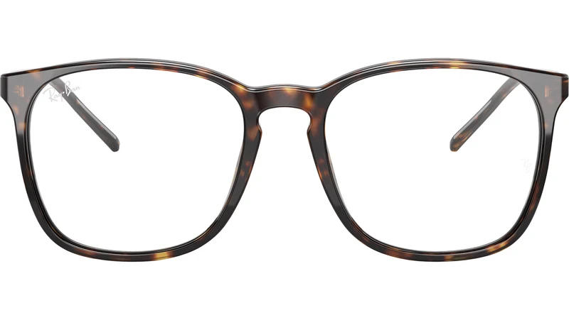 RB5387 Optics 2012