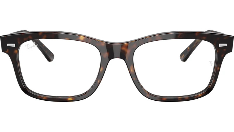 Mr Burbank Optics RB5383 2012