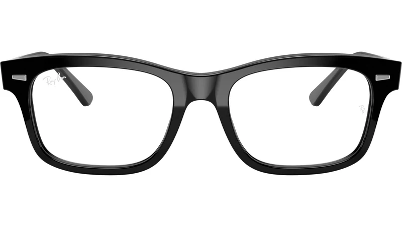 Mr Burbank Optics RB5383 2000