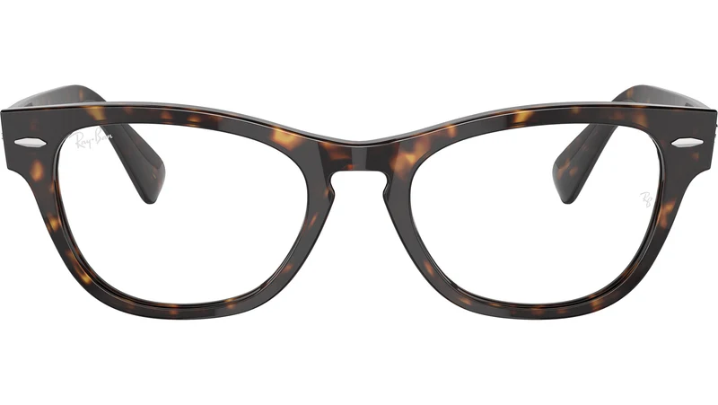 Laramie Optics RB2201V 2012