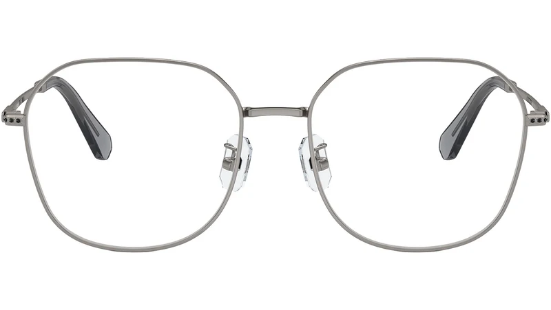 SK1009D 4010