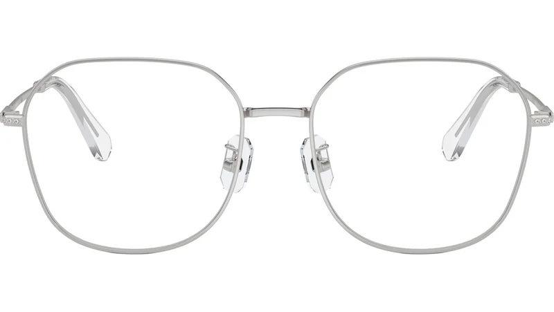 SK1009D 4001