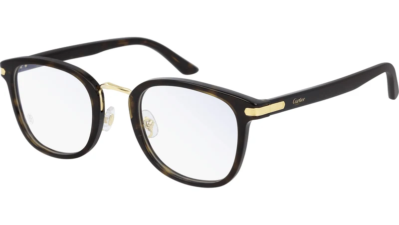 CT0146O 002 gold havana