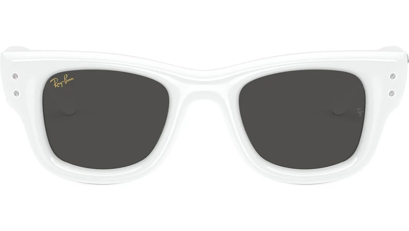 Wayfarer Puffer RB4940B 686387