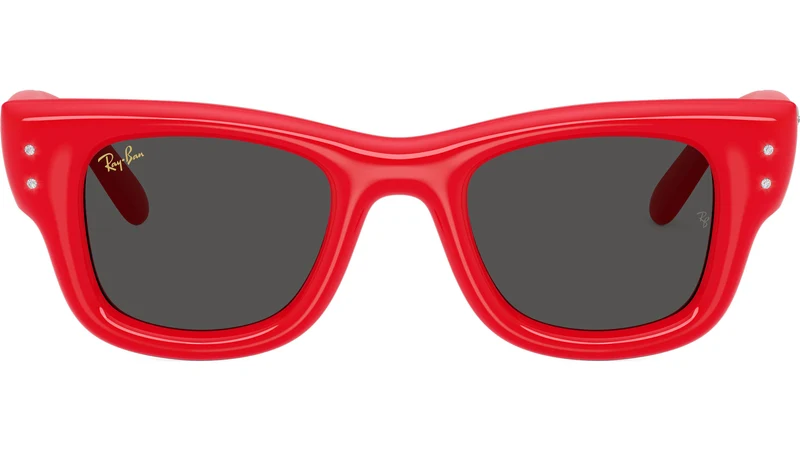 Wayfarer Puffer RB4940B 686187