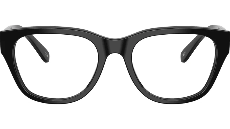 DL4001 2001