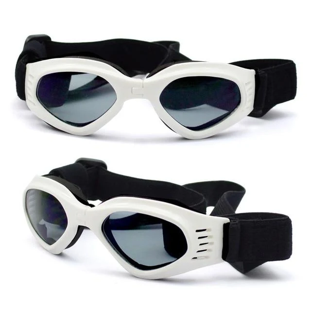TAILUP Sundog Sonnenbrille