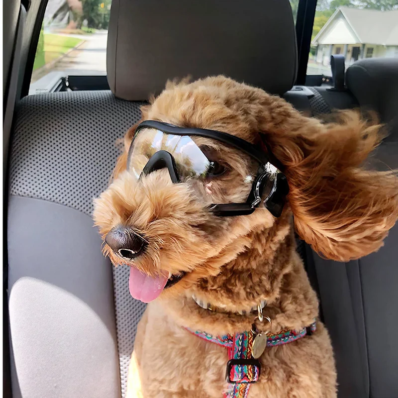 KASIKIDO Skibrille für Hunde