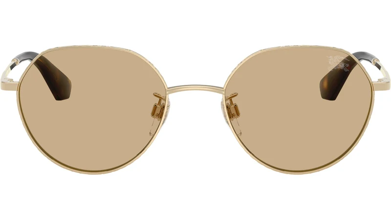 BE3173D 110973
