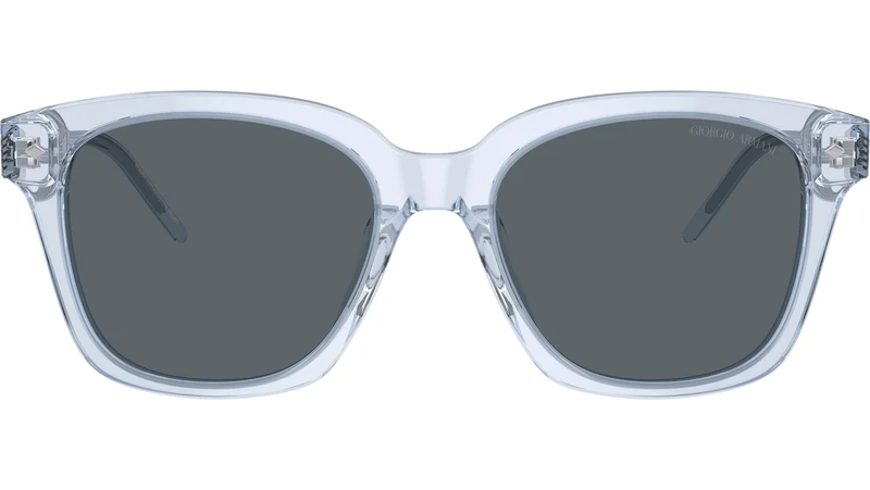 AR 8210U 6081R5 Blue