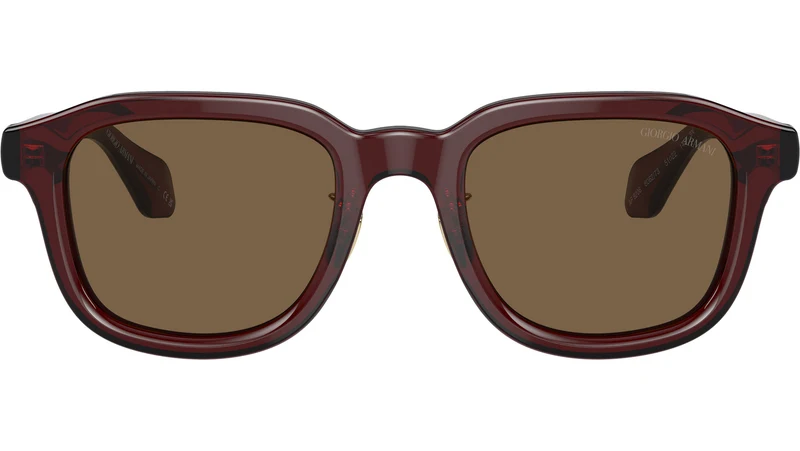 AR 8206 606273 Brown