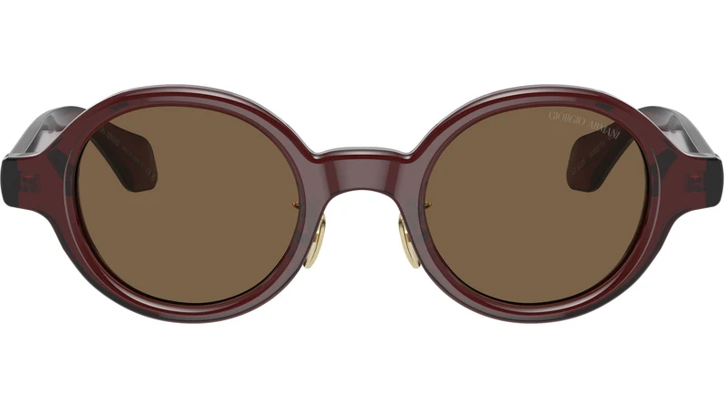 AR 8205 606273 Brown