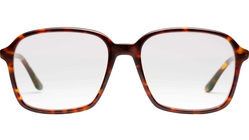 Marguerite Tortoise
