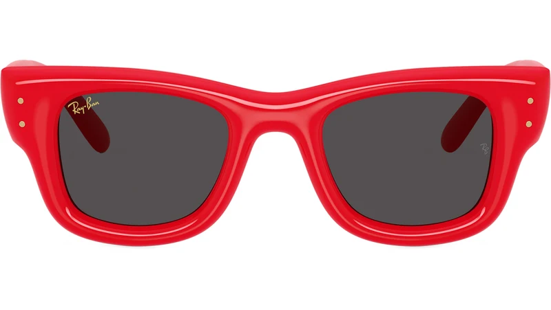 Wayfarer Puffer RB4940 683187