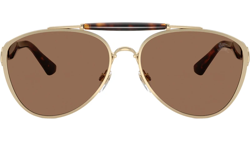 BE3160 110973