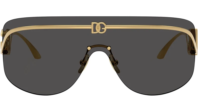 DG 2320 02/87