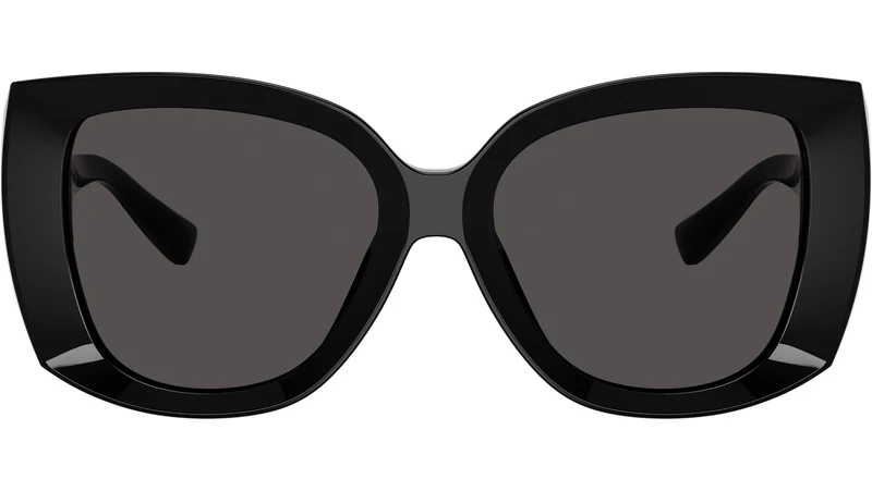 DG 4495 501/87