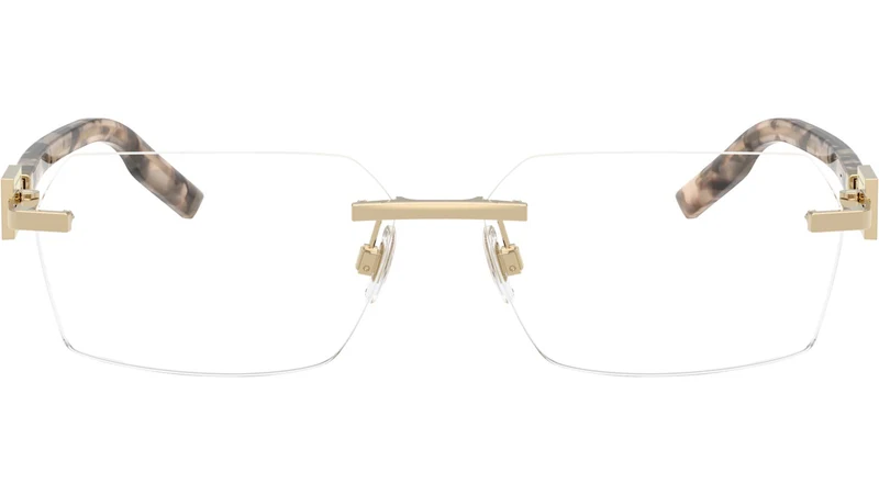 DG 1361 488