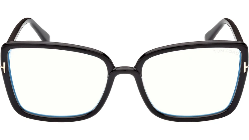 FT5813-B 001