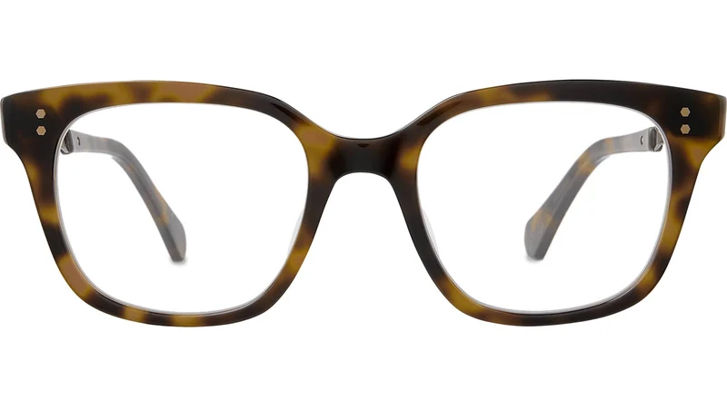 Mana C Yellowjacket Tortoise