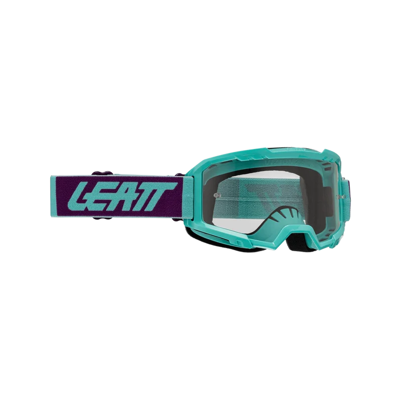 Goggle Vizion 2.5