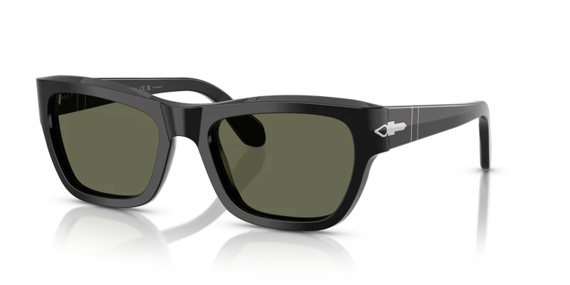 PO0091S