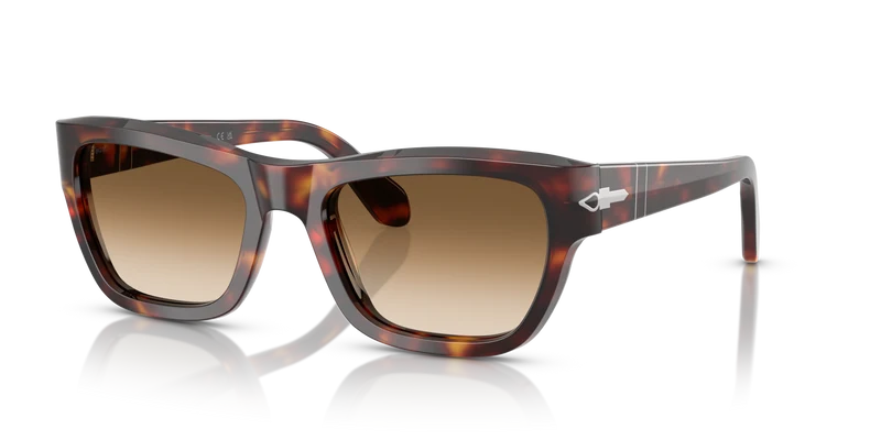 PO0091S
