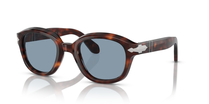 PO0060S