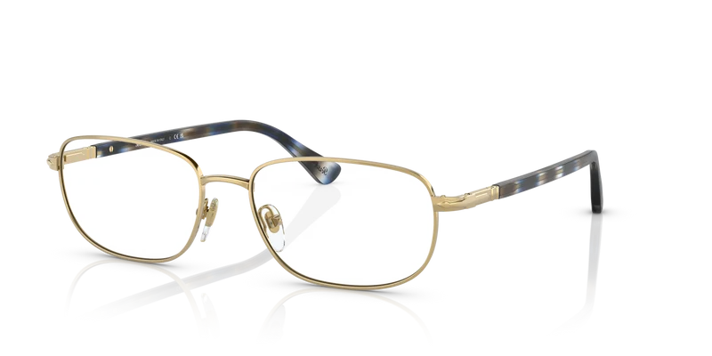 PO1005V