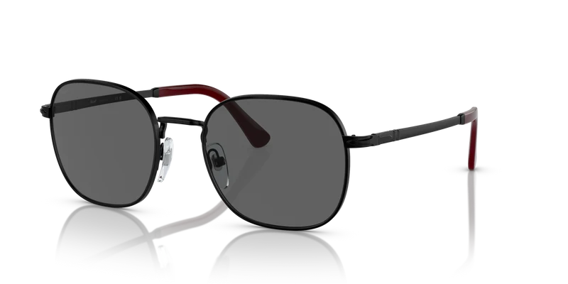 PO1009S